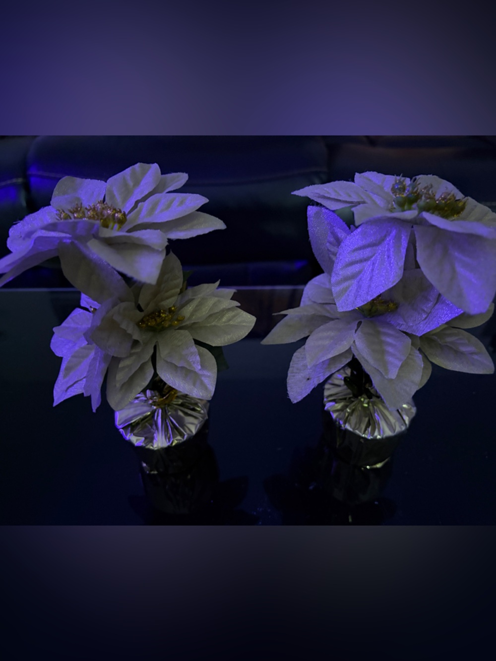 White Poinsettia Artificial Floral Accent - Unbranded